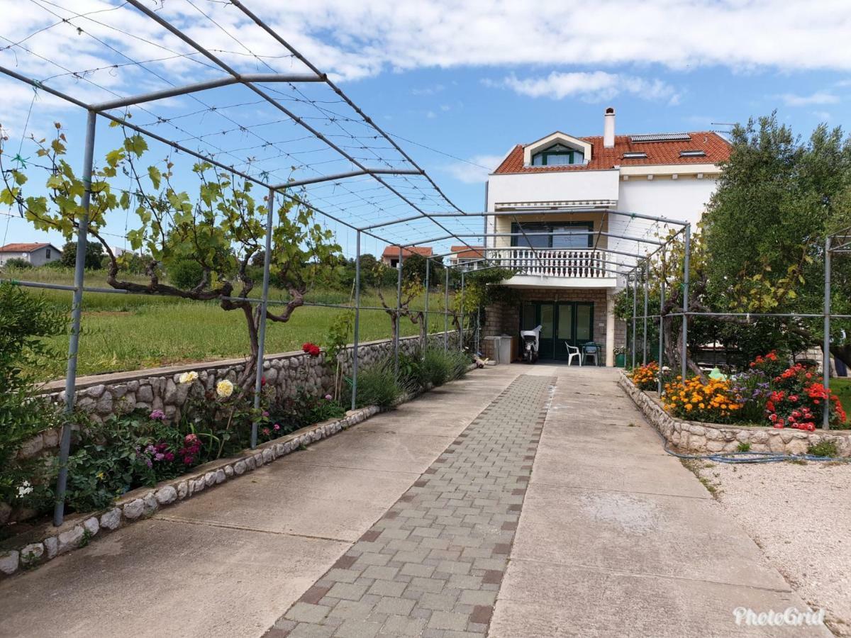 Apartments Marina Sveti Filip i Jakov Eksteriør billede